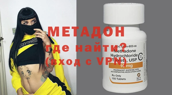 стаф Алзамай