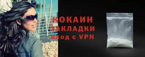 стаф Алзамай