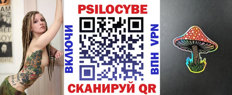 как найти закладки Подольск МЕГА зеркало Псилоцибиновые грибы Psilocybe